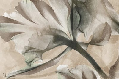 Dingley Green - Canvas Prints: Botanical Tension I by Albert Koetsier