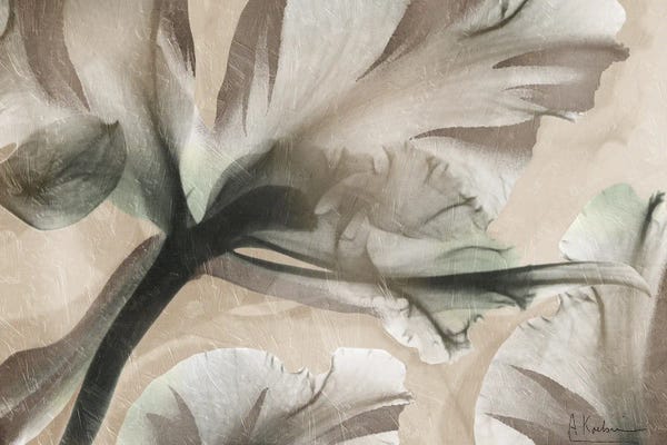 Botanical Tension II