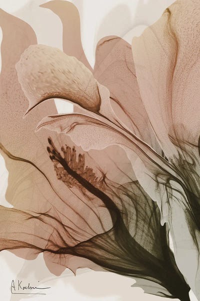 Dingley Green - Canvas Prints: Orange Burst II by Albert Koetsier