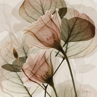 Albert Koetsier - Unframed Prints: Serene Orange Union I by Albert Koetsier