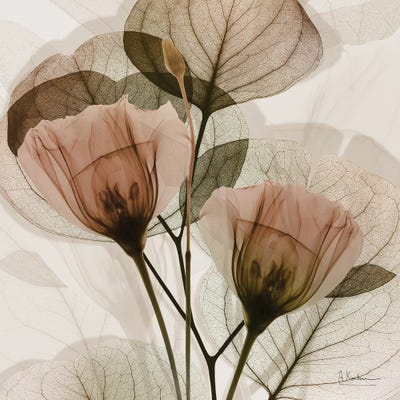 Albert Koetsier - Unframed Prints: Serene Orange Union II by Albert Koetsier