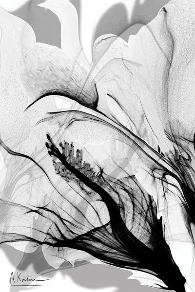 Canvas Print: Monochrome Creator II by Albert Koetsier - thumbnail