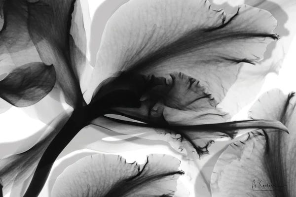 Floral Wall Art: Monochrome Growth II by Albert Koetsier