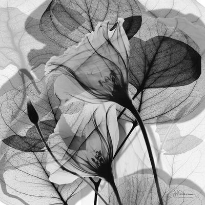 Canvas Print: Serene Gray Union I by Albert Koetsier - thumbnail