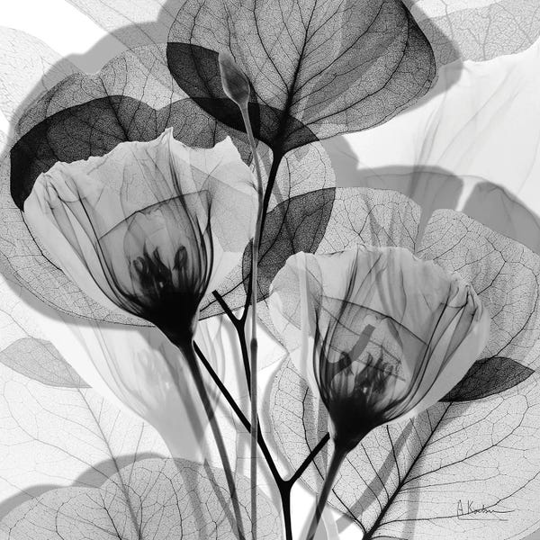Albert Koetsier: Serene Gray Union II by Albert Koetsier