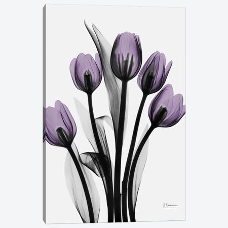 Five Tulips Canvas Print #ALK46} by Albert Koetsier Art Print