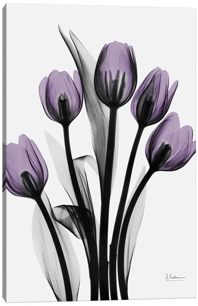 Five Tulips Canvas Art Print - Tulip Art
