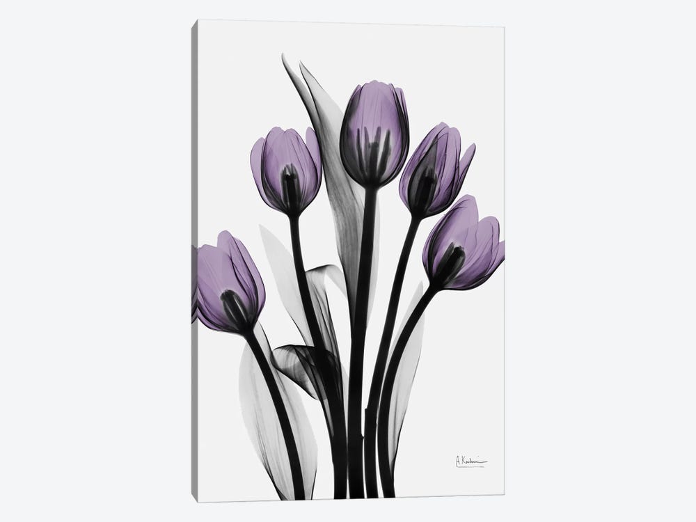 Five Tulips by Albert Koetsier 1-piece Canvas Artwork