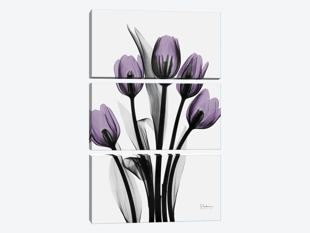 Five Tulips by Albert Koetsier 3-piece Canvas Art