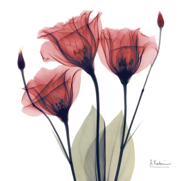 A.D. Lines Eurogroup Inc.: Gentian Faith by Albert Koetsier