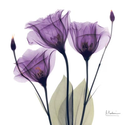 Gentian Hope by Albert Koetsier art print