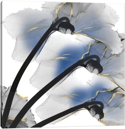 Indigo Luster Cyclamen I Canvas Art Print - Floral Close-Up Art