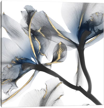 Indigo Luster Cyclamen II Canvas Art Print - Best Selling Floral Art
