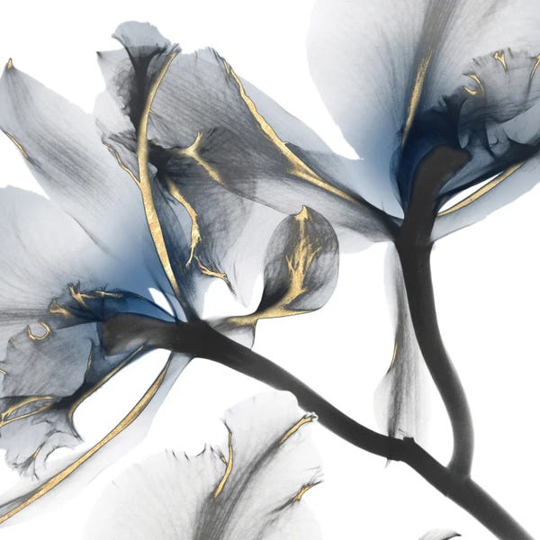 Large Wall Art & Big Canvas Prints: Indigo Luster Cyclamen II by Albert Koetsier