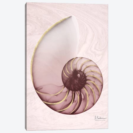 Marble Blush Snail I Canvas Print #ALK60} by Albert Koetsier Canvas Wall Art