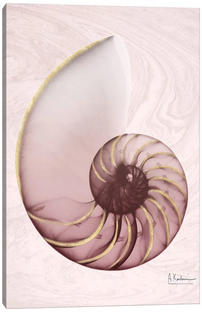 Marble Blush Snail I Canvas Art Print - Snail Art