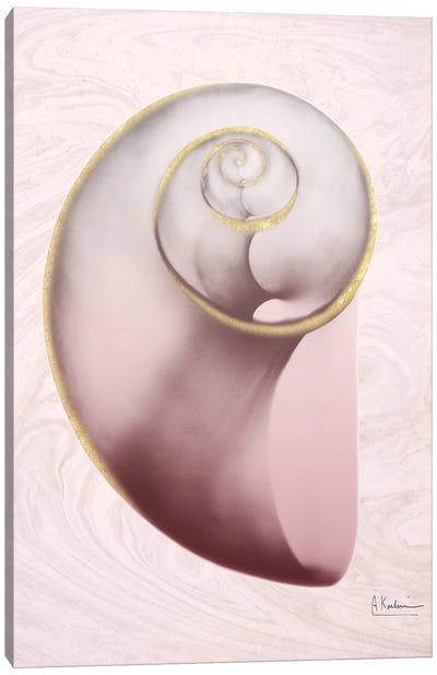 Marble Blush Snail II Canvas Art Print
