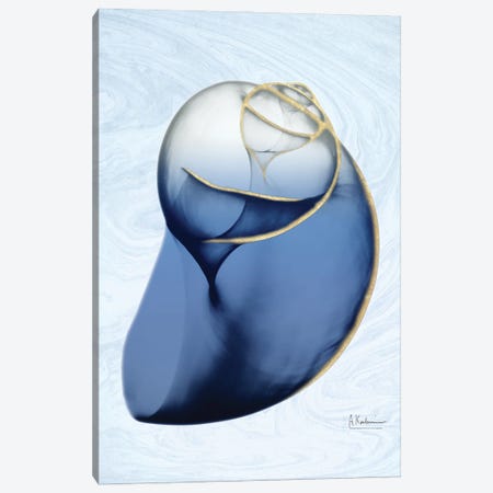 Marble Indigo Snail II Canvas Print #ALK63} by Albert Koetsier Canvas Art