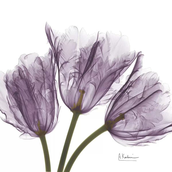 A.D. Lines Eurogroup Inc.: Tulips III by Albert Koetsier