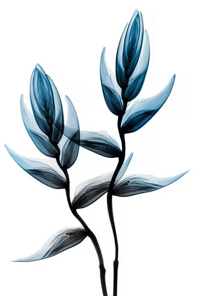 A.D. Lines Eurogroup Inc.: Heaven Risen I by Albert Koetsier