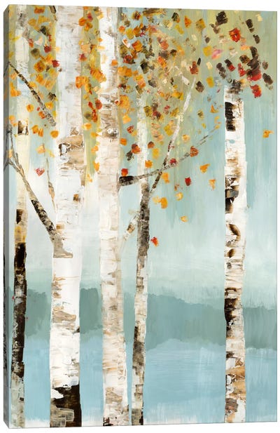 Lookout I Canvas Art Print - Aspen and Birch Trees