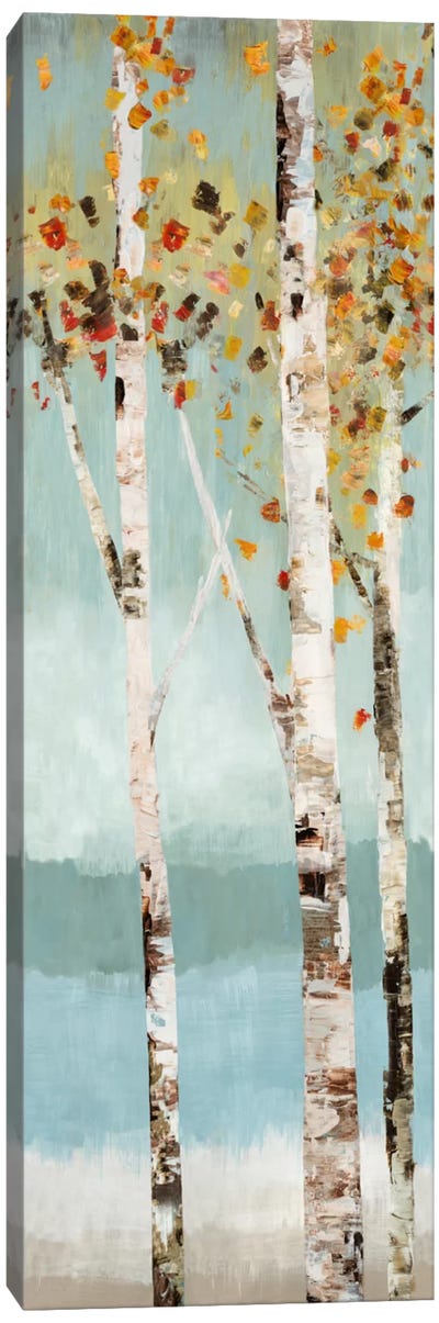Lookout II Canvas Art Print - Aspen and Birch Trees