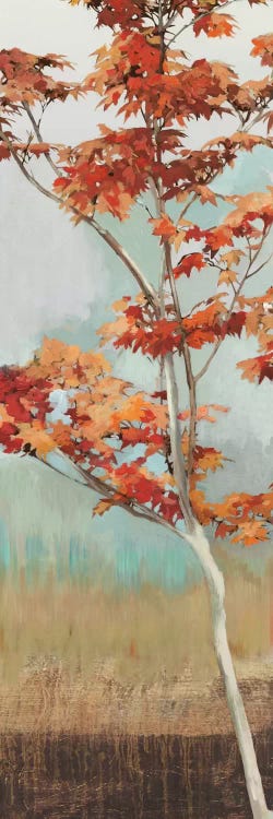 Maple Tree I