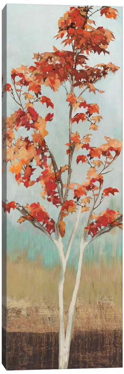 Maple Tree III Canvas Art Print - Allison Pearce