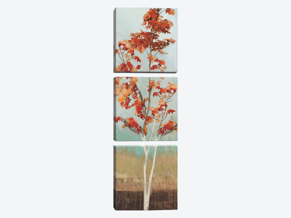 Maple Tree III by Allison Pearce 3-piece Canvas Print