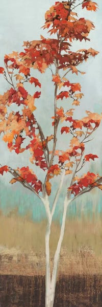 Allison Pearce: Maple Tree III by Allison Pearce