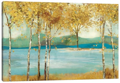 Overlooking Canvas Art Print - Lake Art