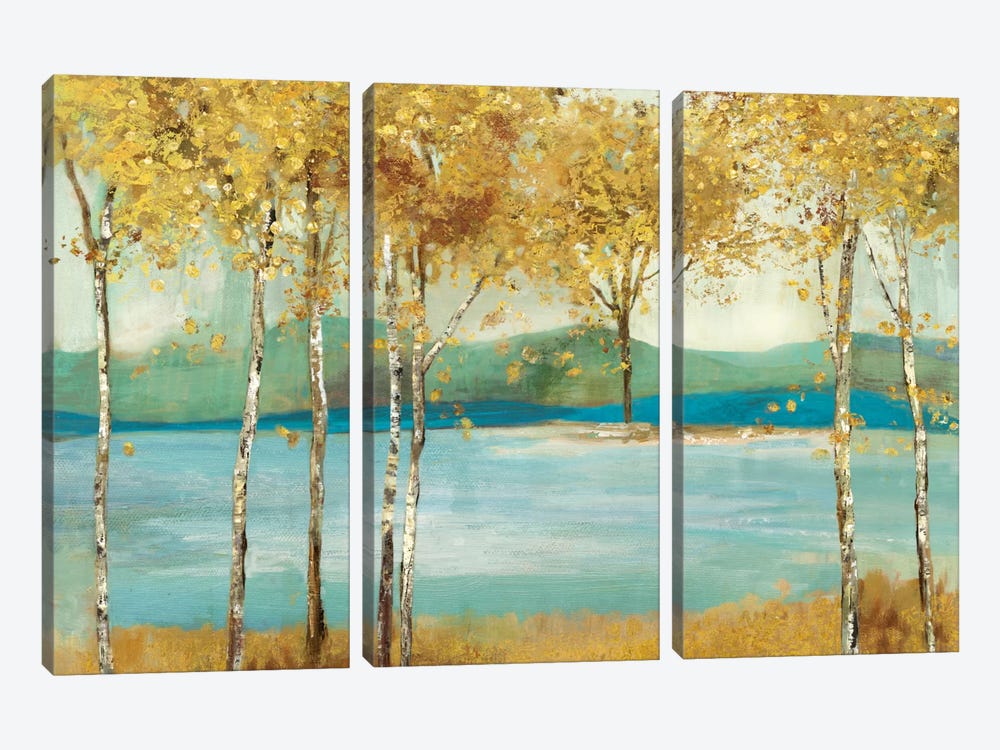 Overlooking by Allison Pearce 3-piece Canvas Art
