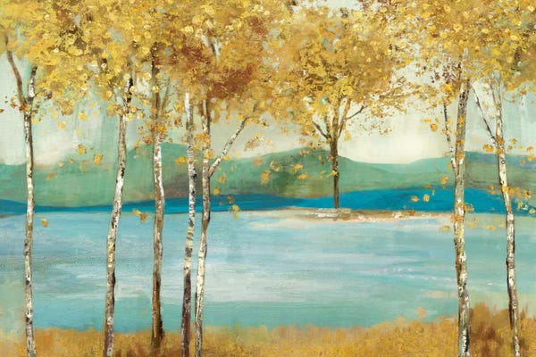 Lakes: Overlooking by Allison Pearce