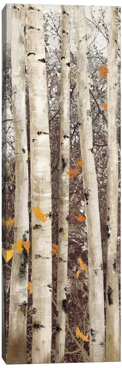 Serene Union II Canvas Art Print - Aspen and Birch Trees