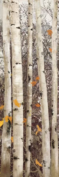 Aspen Trees | Birch Trees: Serene Union II by Allison Pearce