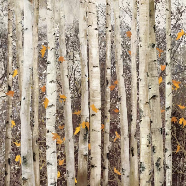 Winter: Serene Union, Square by Allison Pearce