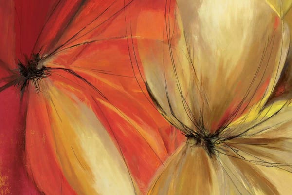 Sharing The Spotlight