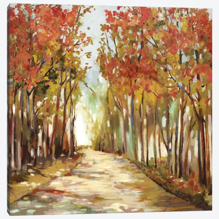 Sunny Path Canvas Print #ALP196} by Allison Pearce Canvas Art Print