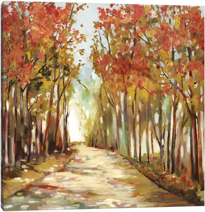 Sunny Path Canvas Art Print - Autumn & Thanksgiving