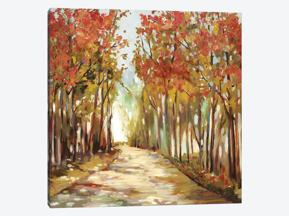 Sunny Path by Allison Pearce 1-piece Canvas Art