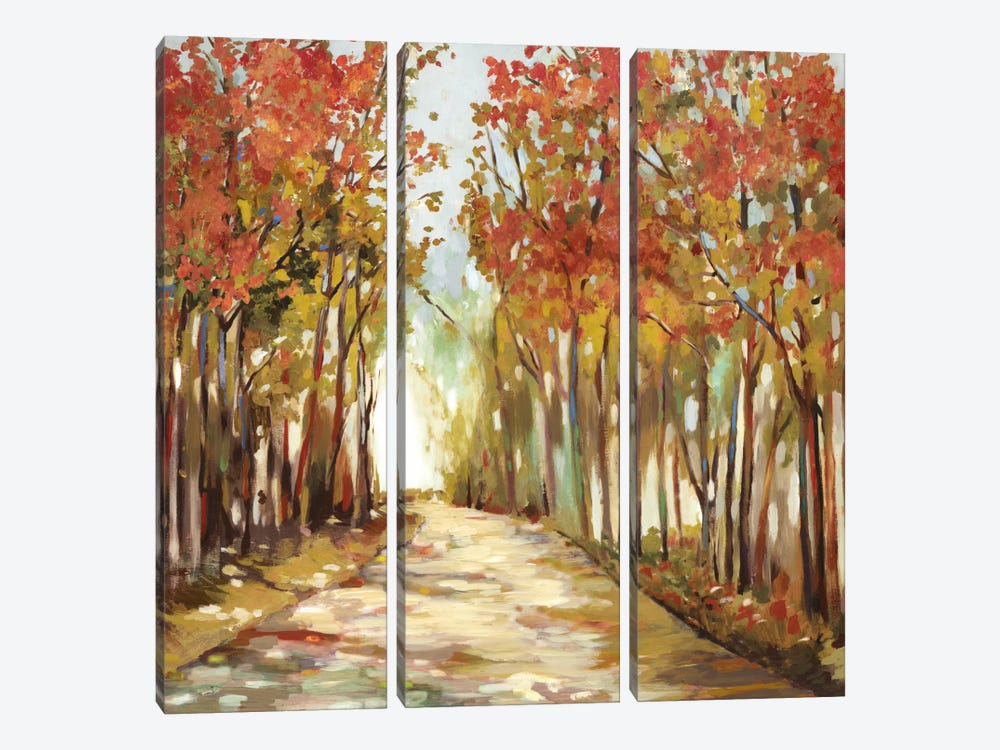 Sunny Path by Allison Pearce 3-piece Canvas Wall Art