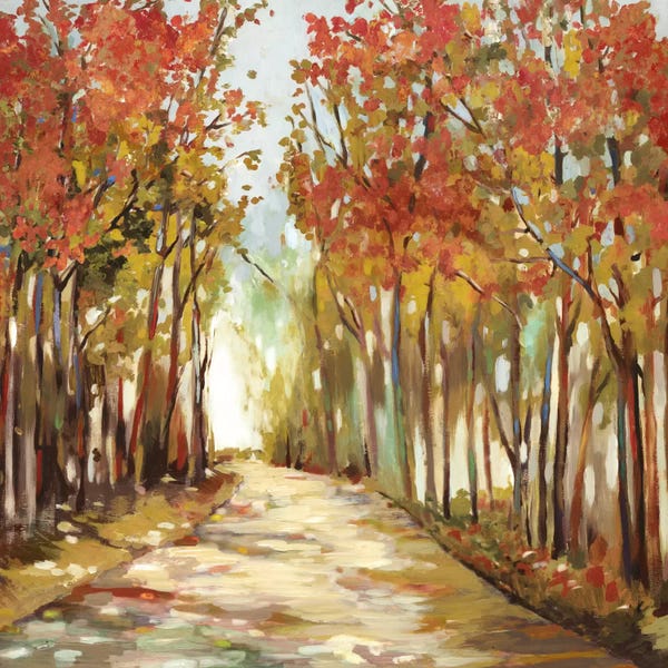 Autumn: Sunny Path by Allison Pearce