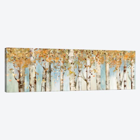 Birch Country Canvas Print #ALP19} by Allison Pearce Canvas Wall Art