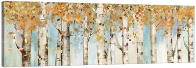 Birch Country Canvas Art Print - Calm & Sophisticated Living Room Art