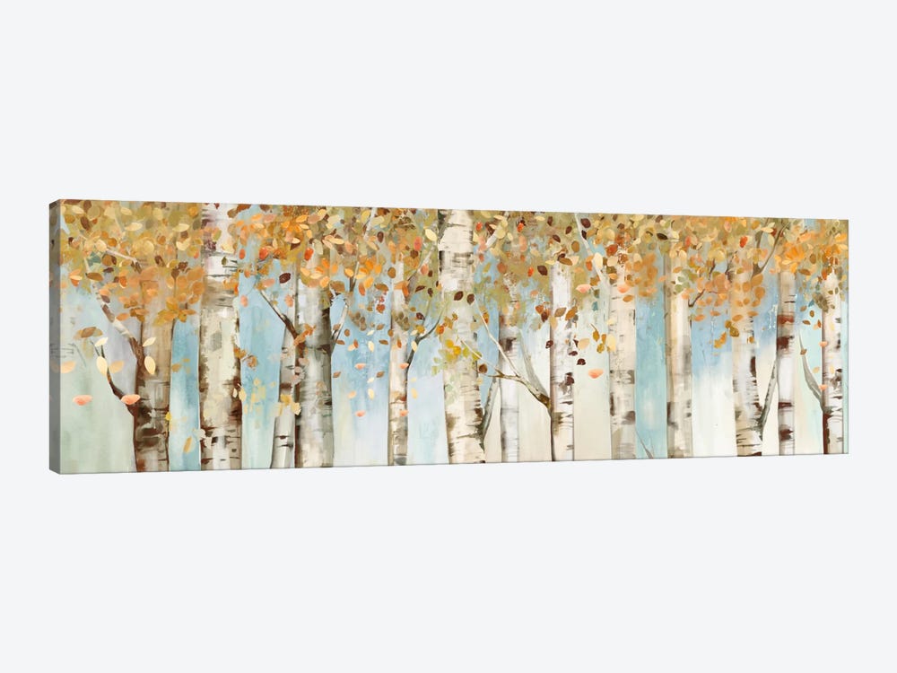 Birch Country by Allison Pearce 1-piece Canvas Wall Art