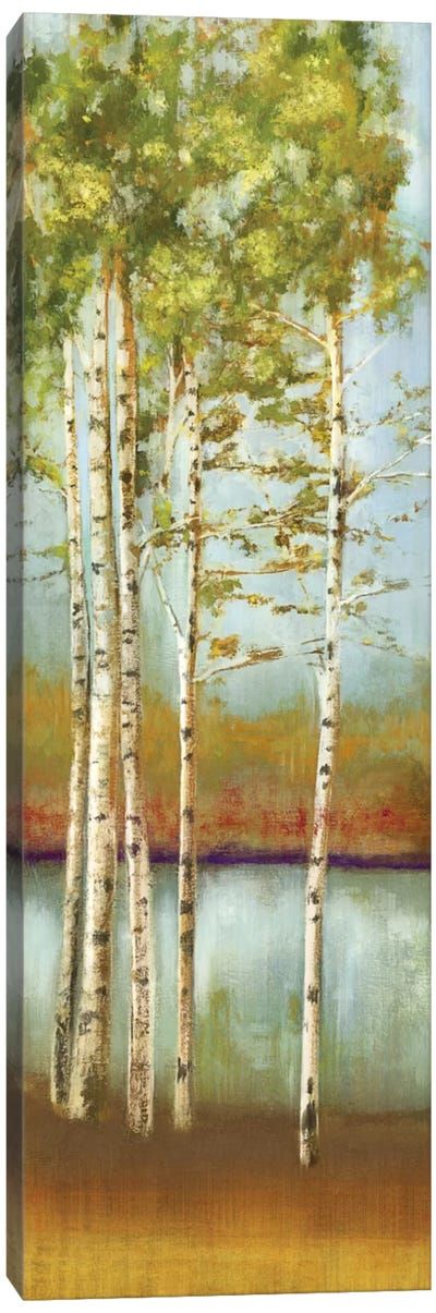 Swaying Along I Canvas Art Print - Aspen and Birch Trees