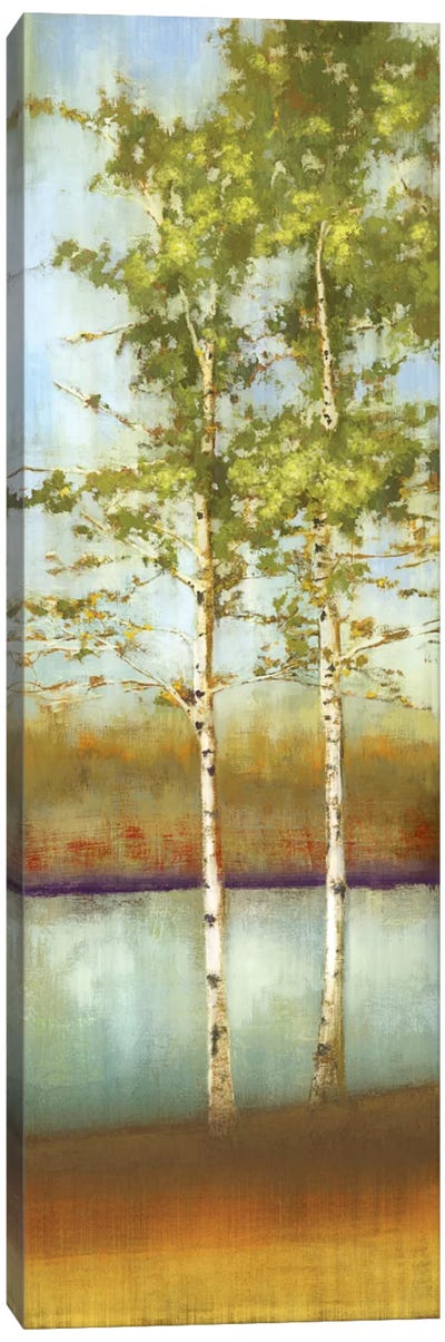 Swaying Along II Canvas Art Print - Aspen and Birch Trees