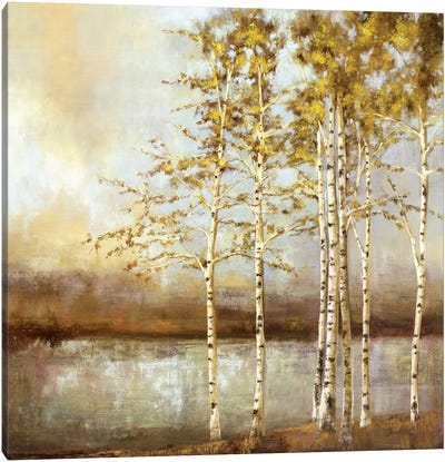 Swaying Together Canvas Art Print - Aspen and Birch Trees