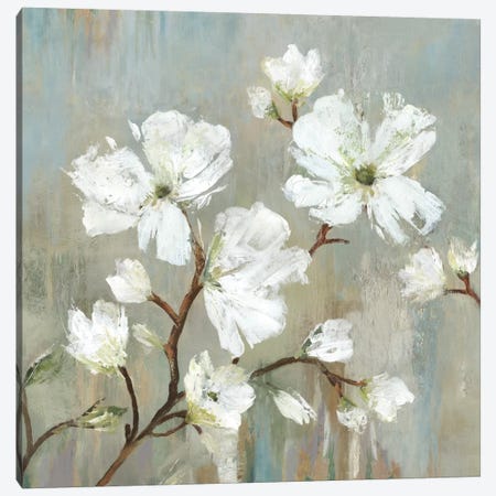 Sweetbay Magnolia I Canvas Print #ALP206} by Allison Pearce Canvas Print