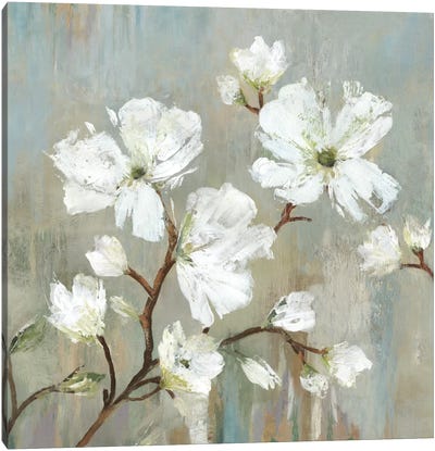 Sweetbay Magnolia I Canvas Art Print - Allison Pearce